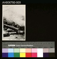 藏品(日治阿里山集材堆積作業明信片)的圖片